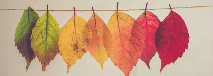 Embracing change: how seasoned interior designers can unlock new growth
